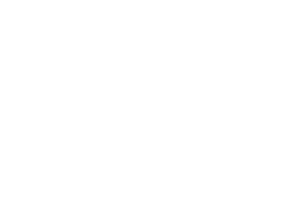 L3S Research Project